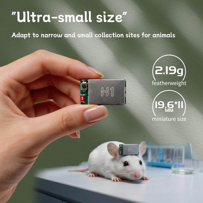 وحدة استشعار الإشارات الحيوية  - مراجعة Muscle Sensor Emg وسعره